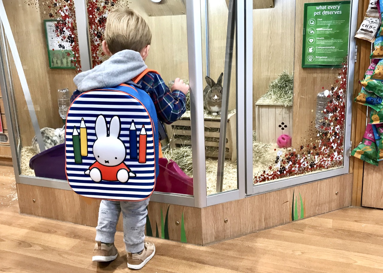 Ruben Rabbit 10 Ways We’re Preparing to Start Nursery [In an Anxious Post Lockdown ...