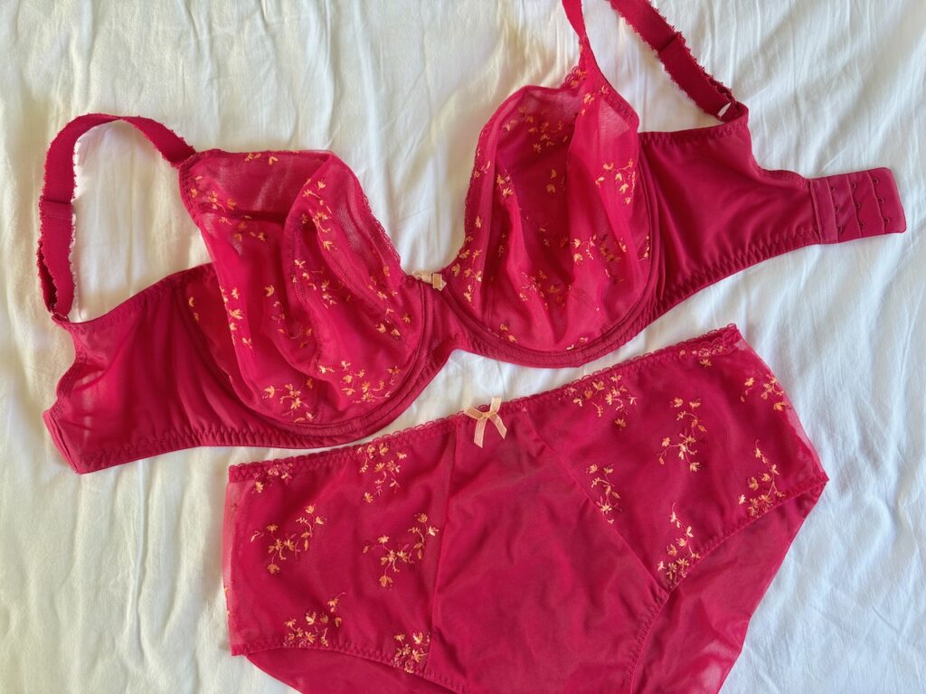Panache Meadow bra and brief in red laid flat.